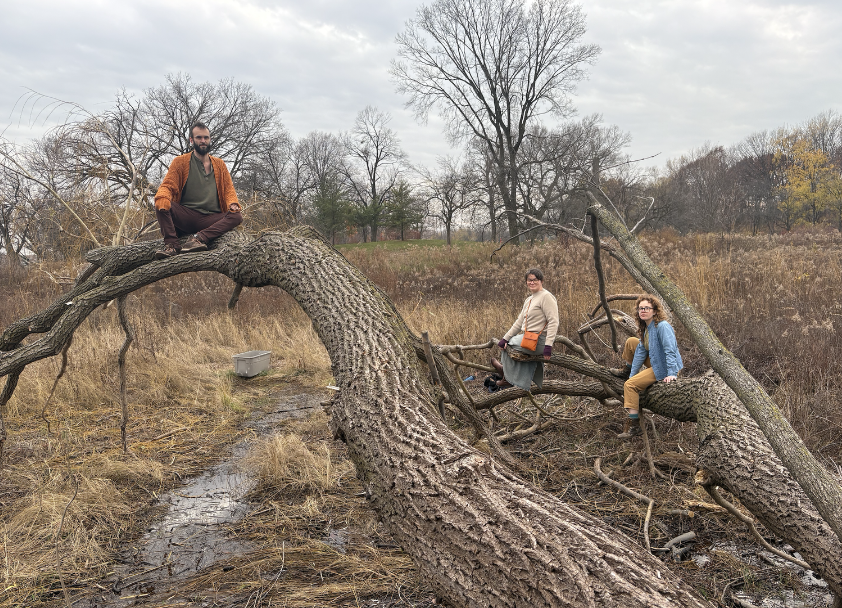 Ignorance, Denial, Conflict, and Abandonment
